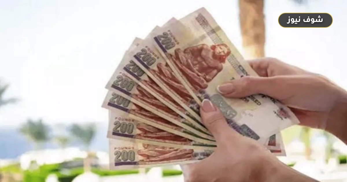 أخطاء تخزين النقود في المنزل: كيف تحمي مدخرات الطوارئ من التلف والضياع؟