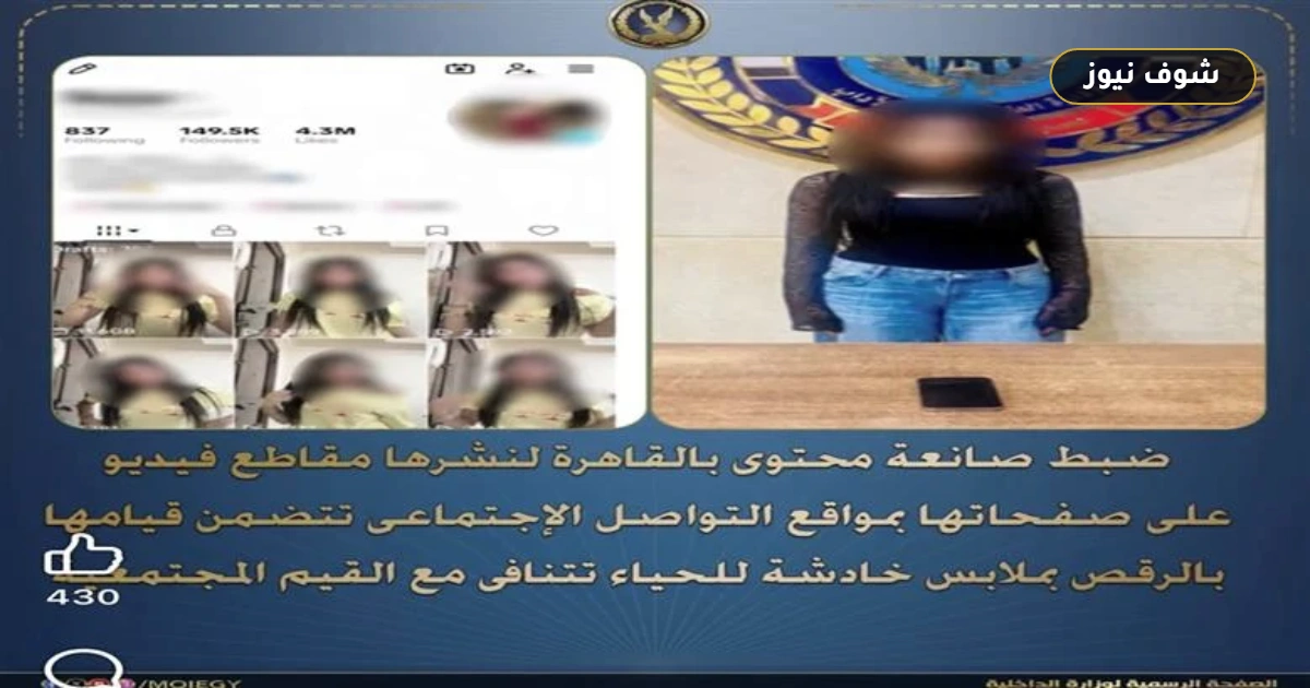 الداخلية تضبط صانعة محتوى في مدينة نصر بتهمة نشر فيديوهات خادشة للحياء 5 الداخلية تضبط صانعة محتوى في مدينة نصر بتهمة نشر فيديوهات خادشة للحياء