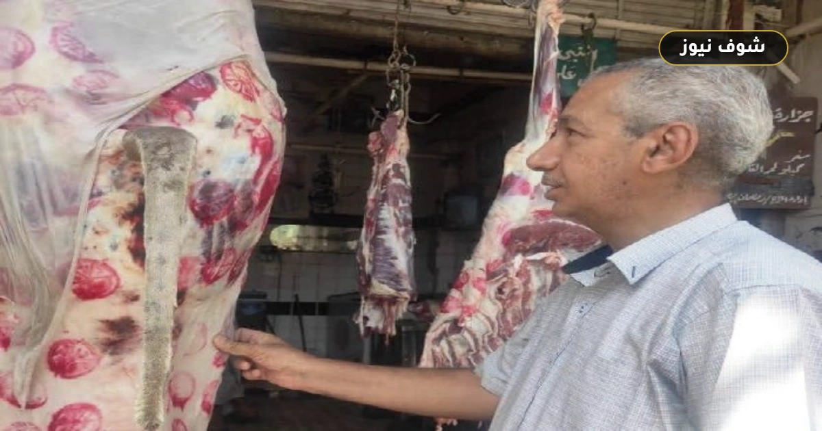 «الخدمات البيطرية»: التحفظ على 175 طن لحوم مخالفة وتحرير 826 محضرًا خلال سبتمبر