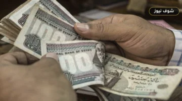 «المالية» تحدد موعد صرف مرتبات أكتوبر 2026 للعاملين بالدولة