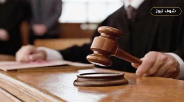 المؤبد والمشدد لـ12 متهماً في قضيتي إرهاب بالمطرية ومدينة نصر