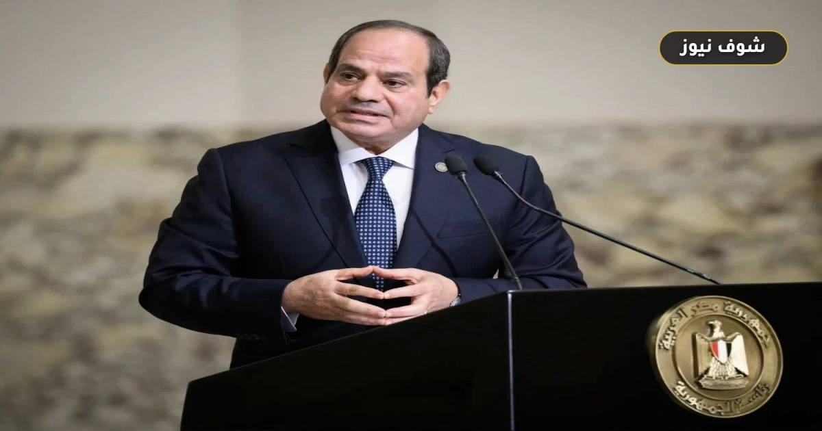 السيسي يجدد دعم مصر لسيادة الصومال ويبحث مع نظيره الصومالي أمن القرن الأفريقي والبحر الأحمر 5 السيسي يجدد دعم مصر لسيادة الصومال ويبحث مع نظيره الصومالي أمن القرن الأفريقي والبحر الأحمر