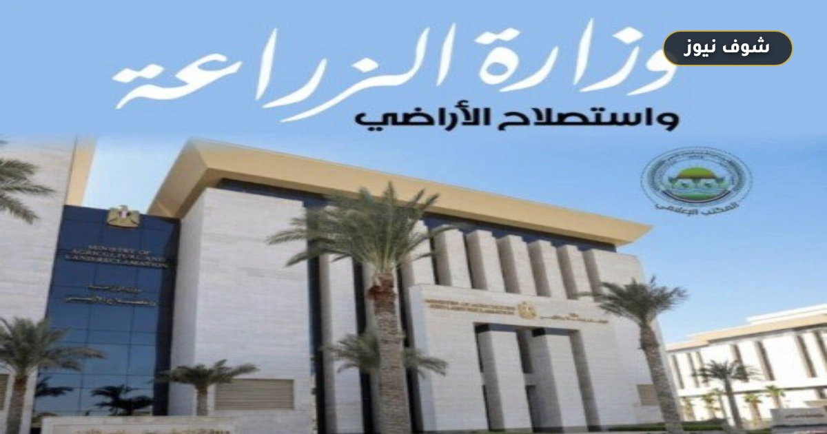 «الزراعة» تحذر من صفحات وهمية لبيع المواد الغذائية وتؤكد: لا نوفر خدمة التوصيل المنزلي 5 «الزراعة» تحذر من صفحات وهمية لبيع المواد الغذائية وتؤكد: لا نوفر خدمة التوصيل المنزلي