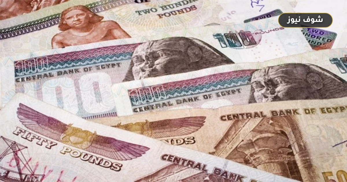 أرصدة شهادات بنك مصر تقفز إلى 1.43 تريليون جنيه بنهاية 2025 5 أرصدة شهادات بنك مصر تقفز إلى 1.43 تريليون جنيه بنهاية 2025