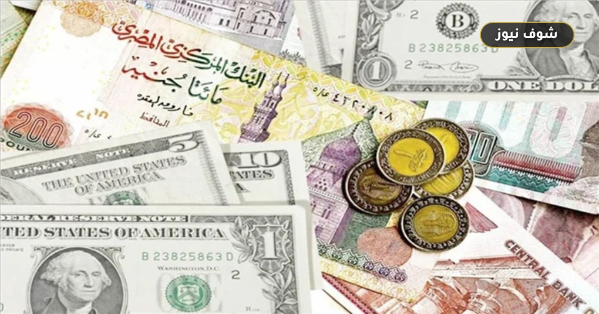 أسعار العملات في البنك المركزي المصري اليوم الاثنين 5 أكتوبر 2026: الدولار يسجل 52.36 جنيه والريال 13.94 5 أسعار العملات في البنك المركزي المصري اليوم الاثنين 5 أكتوبر 2026: الدولار يسجل 52.36 جنيه والريال 13.94
