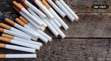 أسعار السجائر والتبغ المسخن اليوم | القائمة الرسمية لكليوباترا والأصناف الأجنبية