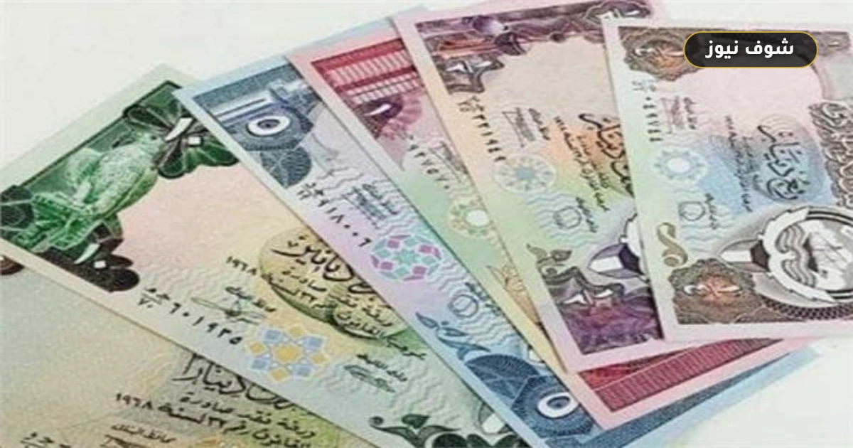 أسعار صرف العملات العربية أمام الجنيه المصري اليوم السبت 3 أكتوبر 2026 5 أسعار صرف العملات العربية أمام الجنيه المصري اليوم السبت 3 أكتوبر 2026