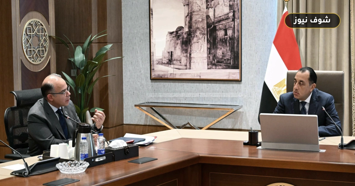 استراتيجية الاستثمار الأجنبي المباشر في مصر 2027-2030: الملامح والمستهدفات الرئيسية 5 استراتيجية الاستثمار الأجنبي المباشر في مصر 2027-2030: الملامح والمستهدفات الرئيسية
