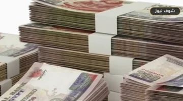 عوائد استثمار 250 ألف جنيه في شهادات البنك الأهلي وبنك مصر المتناقصة