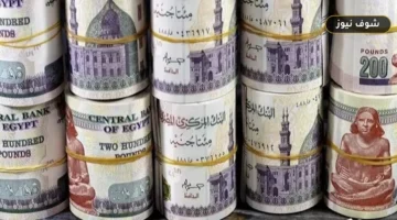 عوائد شهادات الادخار في البنوك المصرية ترتفع إلى 19.5% رغم تثبيت الفائدة