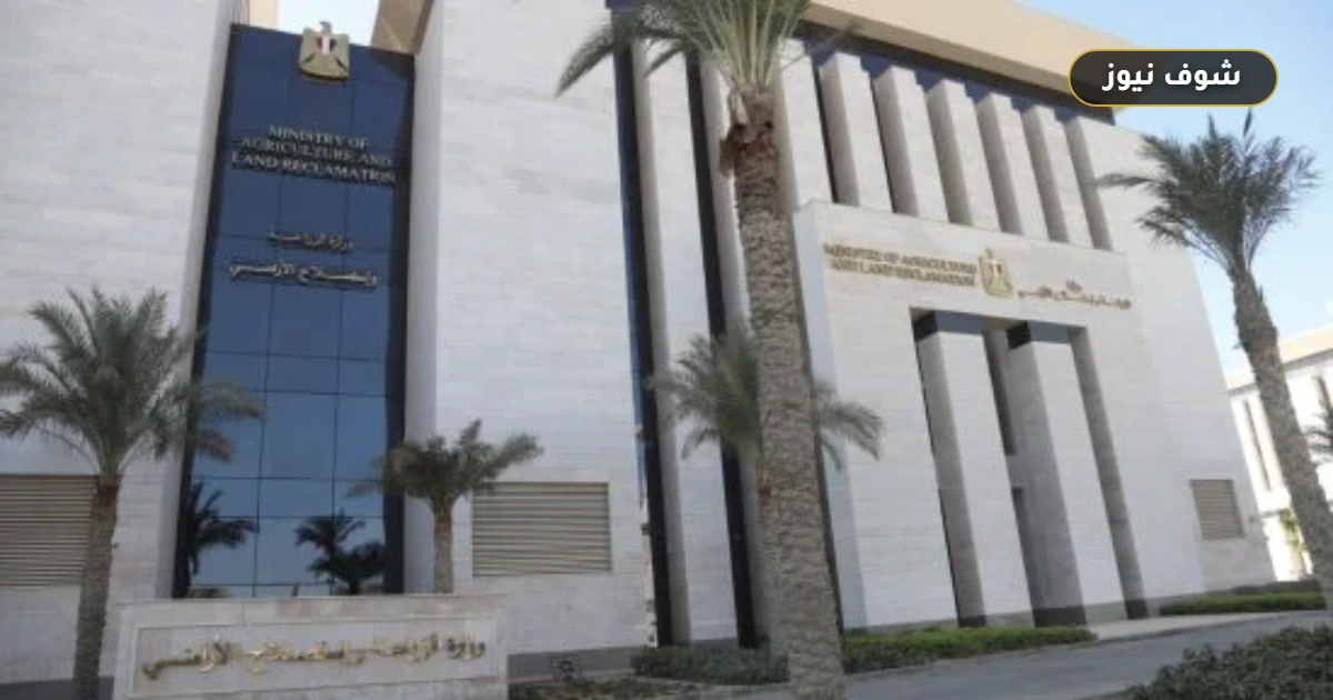 «بحوث الصحراء» وغرفة استصلاح الأراضي يتفقان على خريطة لأصناف الزيتون وجداول مياه المحاصيل 5 «بحوث الصحراء» وغرفة استصلاح الأراضي يتفقان على خريطة لأصناف الزيتون وجداول مياه المحاصيل