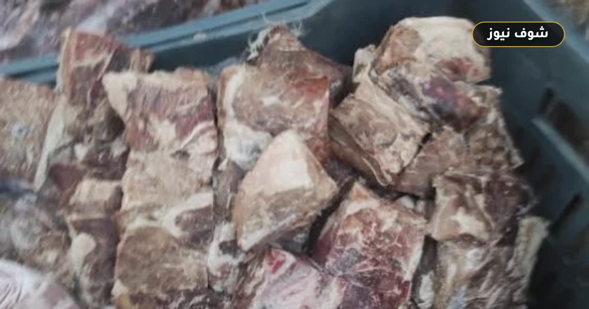 ضبط نحو 175 طن لحوم مخالفة وتحرير 826 محضراً خلال سبتمبر