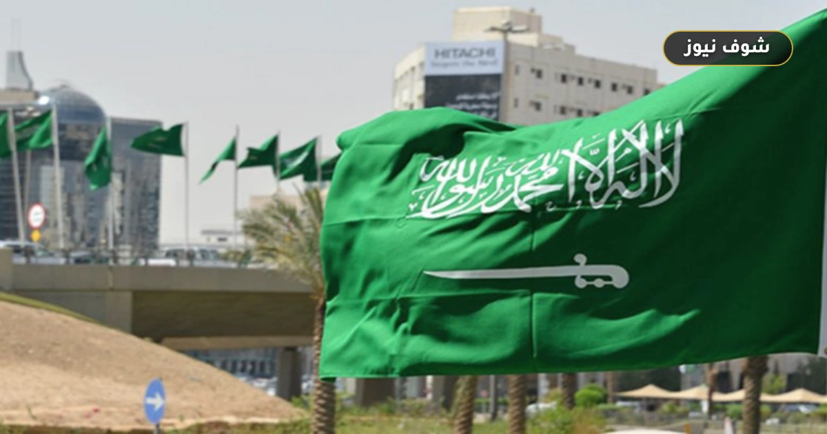 دليل التأشيرة المهنية في السعودية 2026.. الشروط والرسوم وخطوات الإصدار عبر منصة قوى 5 دليل التأشيرة المهنية في السعودية 2026.. الشروط والرسوم وخطوات الإصدار عبر منصة قوى
