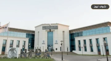 حماية الأطفال رقمياً في مصر | أدوات «واعي.نت» وشريحة الطفل