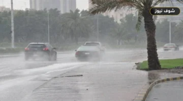 إنذارات حمراء في السعودية اليوم الإثنين: خريطة الأمطار الغزيرة ومناطق السيول