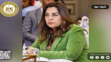 جهاز شئون البيئة يبحث آليات استغلال شهادات خفض الانبعاثات الكربونية ودعم المشروعات القومية
