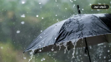 خريطة الأمطار والشبورة في مصر: المحافظات المتأثرة وتحذيرات السيول