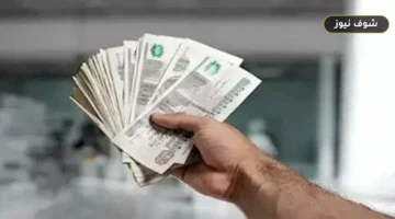 كم أرباح الـ 100 ألف جنيه من شهادات البنك الأهلي 2026