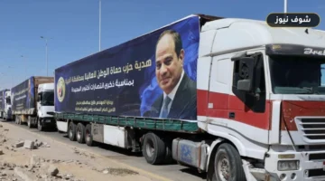 محافظ الجيزة يشهد إطلاق قافلة لوزيع السلع الغذائية على الأسر الأولى بالرعاية
