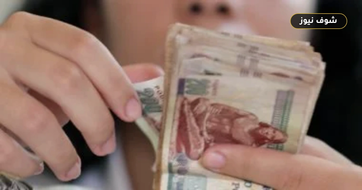 365.7 مليار جنيه استثمارات قطاع التأمين في 2025.. وصافي الدخل يسجل 39.6 ملياراً 5 365.7 مليار جنيه استثمارات قطاع التأمين في 2025.. وصافي الدخل يسجل 39.6 ملياراً
