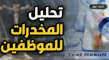 متى يُفصل الموظف بسبب المخدرات؟.. ضوابط التحليل والتظلم والعقوبات القانونية