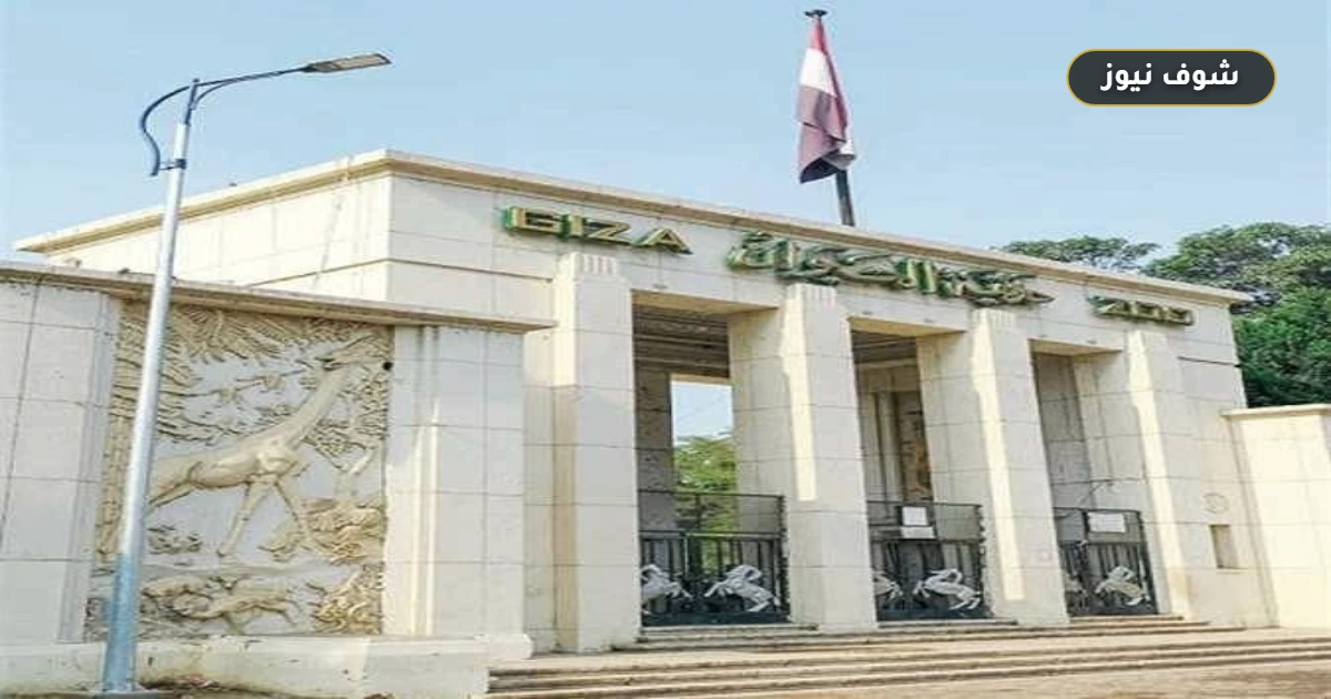موعد افتتاح حديقة الحيوان بالجيزة: المستهدف والجديد بعد التطوير 5 موعد افتتاح حديقة الحيوان بالجيزة: المستهدف والجديد بعد التطوير