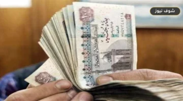 موعد صرف معاشات أكتوبر 2026 وطريقة الاستعلام بالرقم القومي