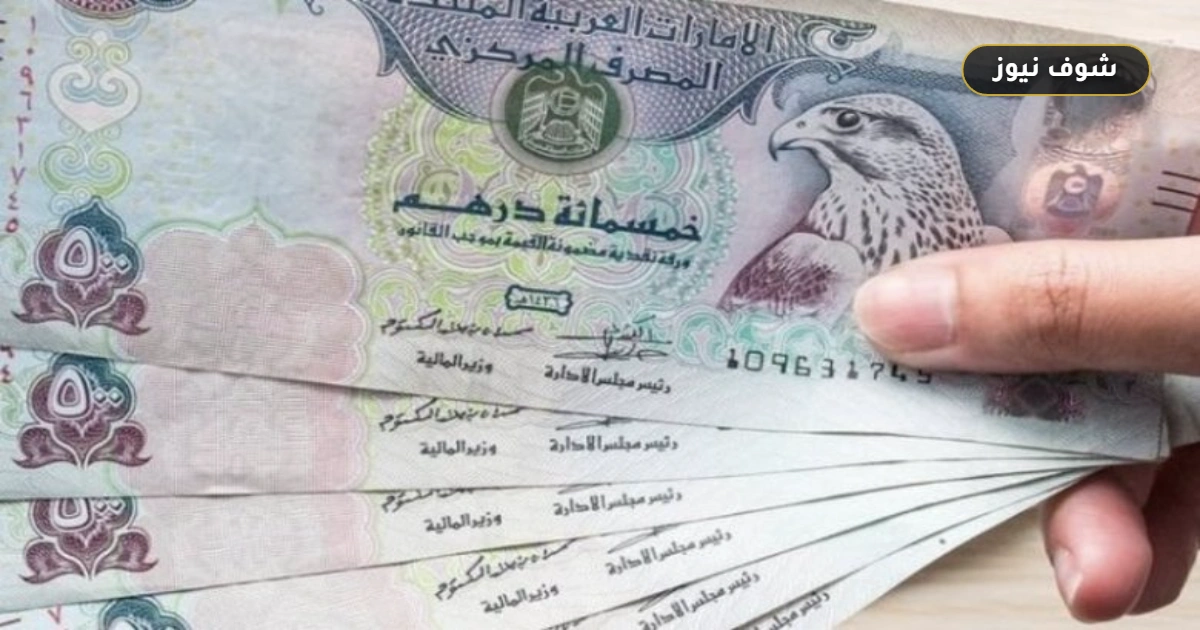 «قبل تغيير العملة».. سعر الدرهم الإماراتي في البنوك المصرية يسجل 14.27 جنيه للشراء و14.41 للبيع 5 «قبل تغيير العملة».. سعر الدرهم الإماراتي في البنوك المصرية يسجل 14.27 جنيه للشراء و14.41 للبيع