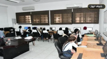 رابط نتيجة التنسيق التكميلي للجامعات التكنولوجية 2026
