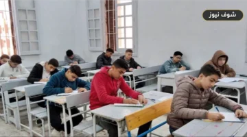 رابط تسجيل استمارة الشهادة الإعدادية 2026: المواعيد والخطوات الرسمية