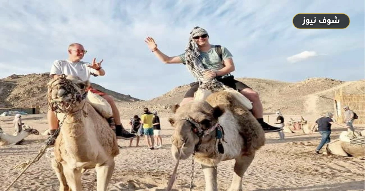 رحلات السفاري الجبلية في الغردقة تنعش الموسم الشتوي بقيادة السياحة الأوروبية