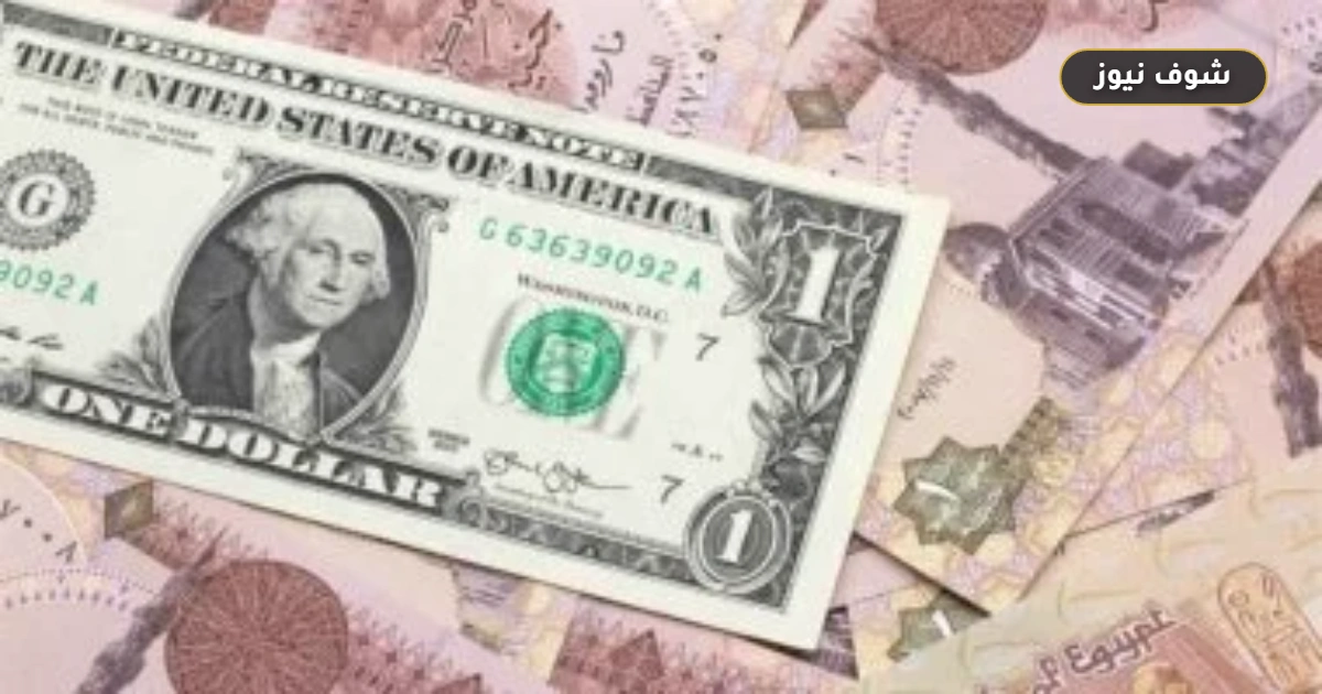 سعر الدولار اليوم السبت أمام الجنيه في البنوك المصرية