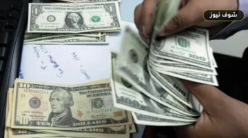 سعر الدولار اليوم في 8 بنوك مصرية بالتزامن مع العطلة الأسبوعية