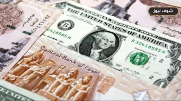 سعر الدولار مقابل الجنيه اليوم الجمعة 9 أكتوبر 2026 في البنوك المصرية