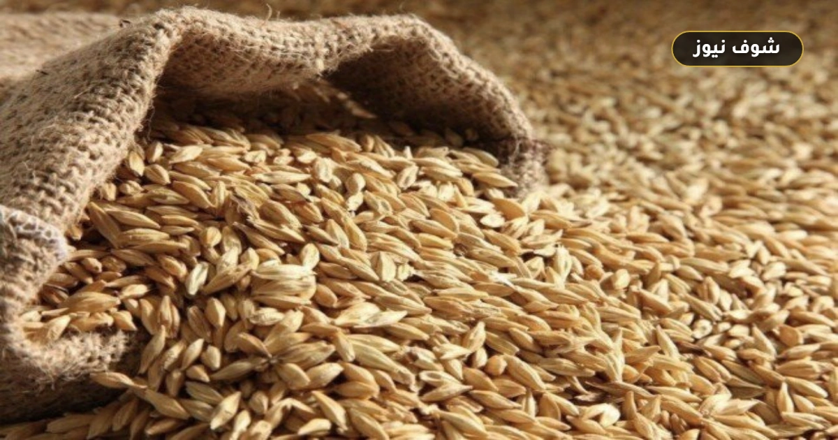 سعر طن الأرز الشعير والأبيض اليوم في الأسواق.. بكام النهاردة؟ 5 سعر طن الأرز الشعير والأبيض اليوم في الأسواق.. بكام النهاردة؟