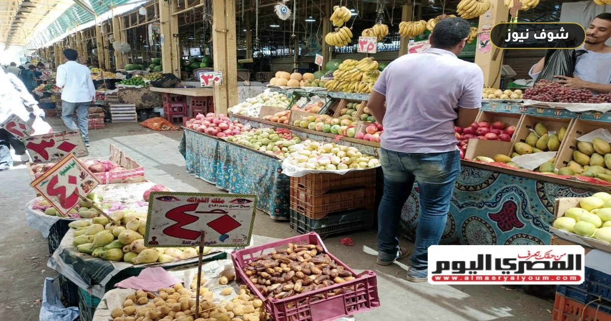 شعبة الخضروات والفاكهة تنفي حدوث قفزات سعرية وتؤكد استقرار المعروض بالأسواق 5 شعبة الخضروات والفاكهة تنفي حدوث قفزات سعرية وتؤكد استقرار المعروض بالأسواق