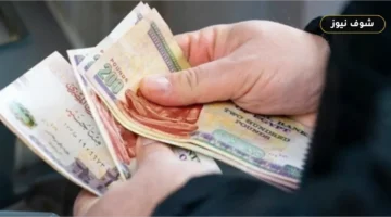 صرف معاشات أكتوبر 2026 لأكثر من 11.5 مليون مستفيد عبر 5 منافذ معتمدة
