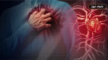 تضخم عضلة القلب عند الرياضيين: متى يكون مؤشراً مرضياً يستوجب الفحص؟