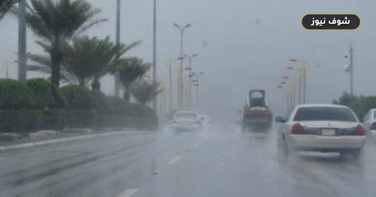 طقس اليوم: أمطار متفاوتة الشدة على السواحل وسيناء ونشاط للرياح المثيرة للأتربة
