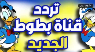 تردد قناة بطوط كيدز 2026 على نايل سات | بيانات التثبيت وخطوات الضبط
