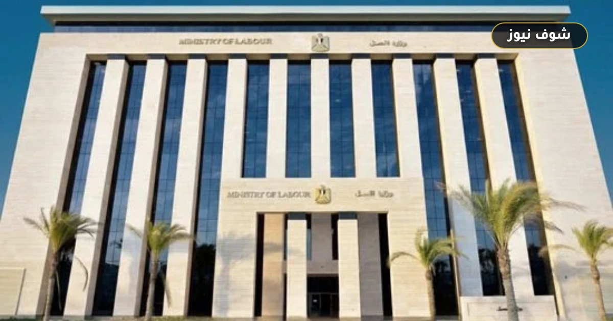 وزارة العمل تفتح التقديم لبرنامج تدريب منتهي بالتوظيف لـ300 شاب في 3 محافظات 5 وزارة العمل تفتح التقديم لبرنامج تدريب منتهي بالتوظيف لـ300 شاب في 3 محافظات